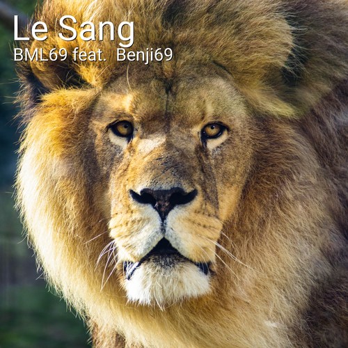 Le sang (feat. Benji69) [Explicit]