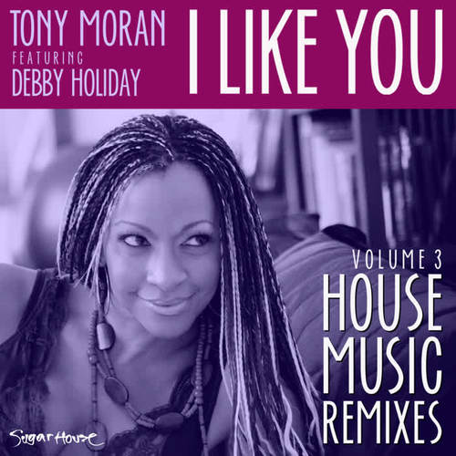 I Like You - Volume 3 (House Remixes)