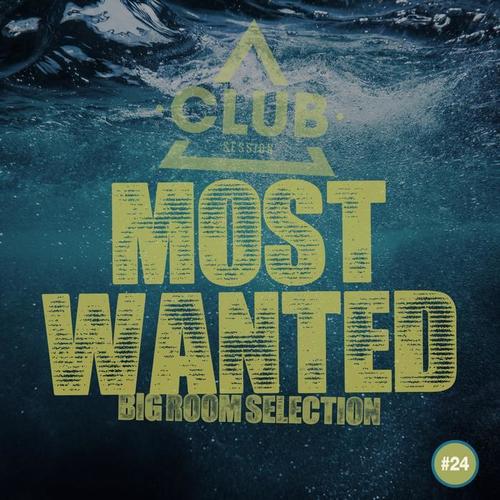 Most Wanted - Big Room Selection, Vol. 24