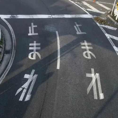生命树