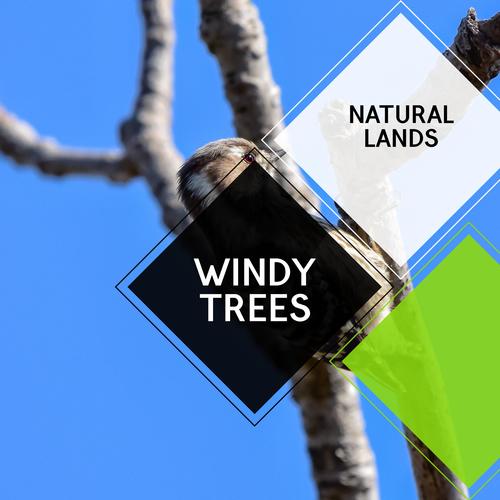 Windy Trees - Natural Lands