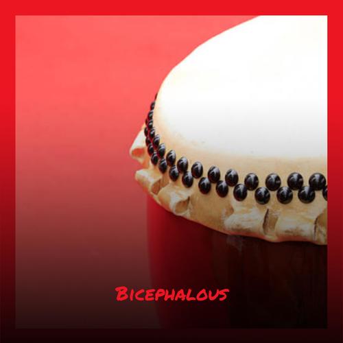 Bicephalous