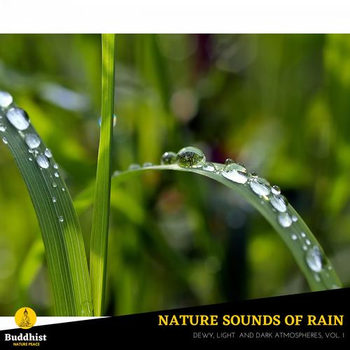 Nature Sounds of Rain - Dewy, Light and Dark Atmospheres, Vol. 1