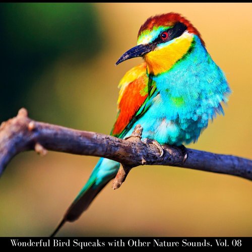 Wonderful Bird Squeaks with Other Nature Sounds, Vol. 08