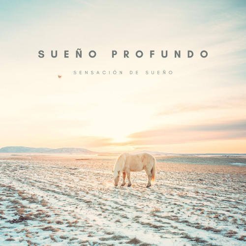 Sueño Profundo: Sensación De Sueño