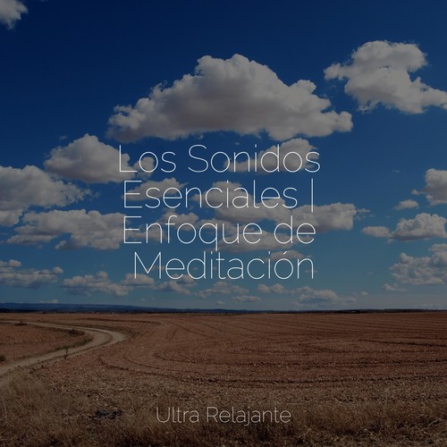 Los Sonidos Esenciales | Enfoque de Meditación