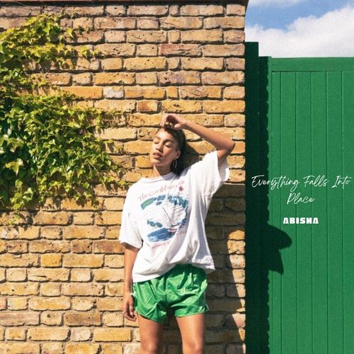 Everything Falls Into Place (Explicit)