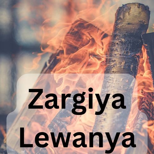 Zargiya Lewanya