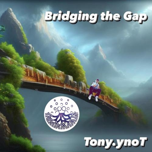 Bridging the Gap