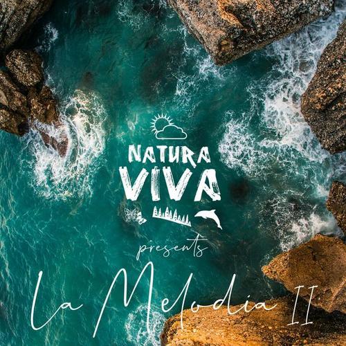Natura Viva Presents 
