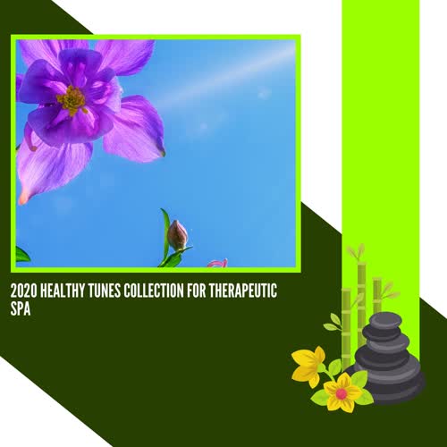 2020 Healthy Tunes Collection For Therapeutic Spa