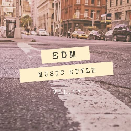 SLiVER Recordings: EDM Music Style, Vol.17