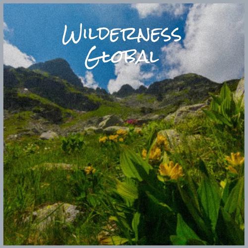 Wilderness Global
