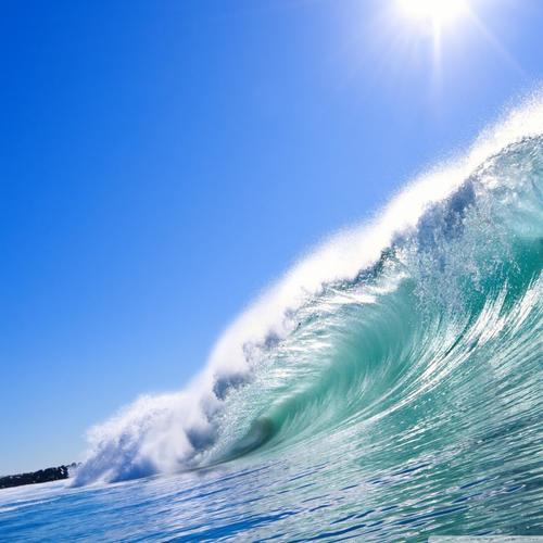 Maui Jaws