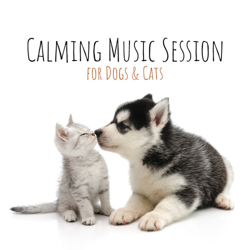 Calming Music Session for Dogs & Cats - Treating Anxiety & Insomnia, Relieving Stress, Pet Therapy, Pet Care, Soft Instrumental Flute, Guitar & Piano Melodies, Soothing Sounds of Nature (Water, Forest)