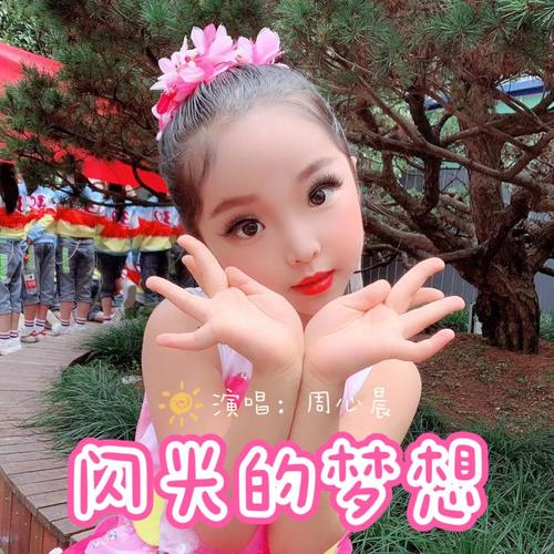 闪光的梦想