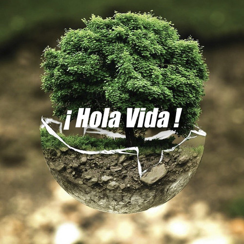 ¡ Hola Vida !