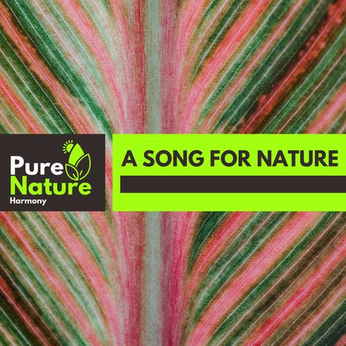 A Song for Nature