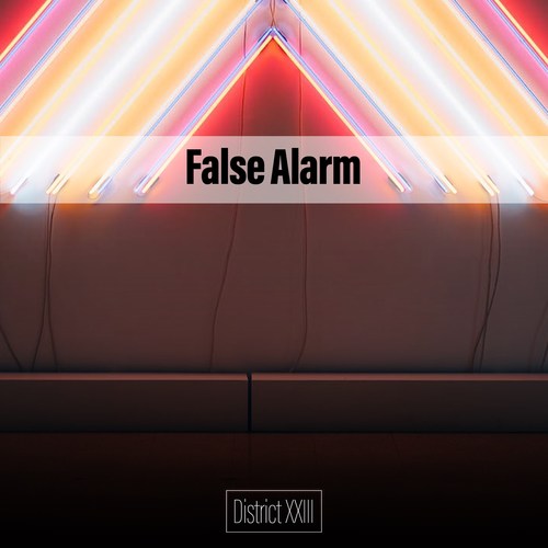 False Alarm District XXIII