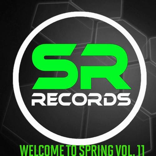 Various Artists Welcome To Spring Vol. 11