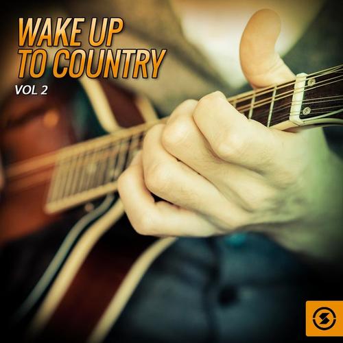 Wake Up To Country, Vol. 2