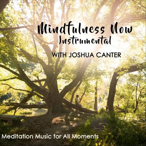 Mindfulness Now (Instrumental)