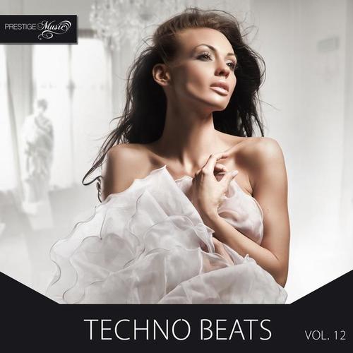 Techno Beats, Vol.12