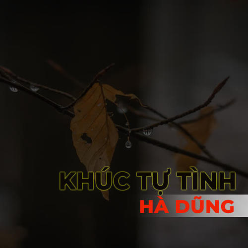 Khúc tự tình Hà Dũng