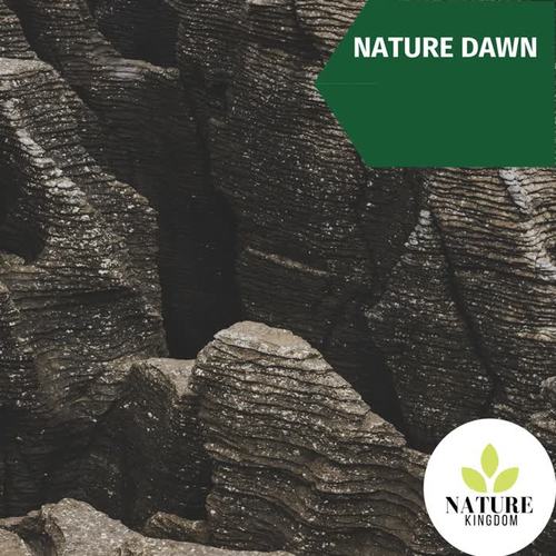 Nature Dawn