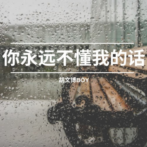 你永远不懂我的话