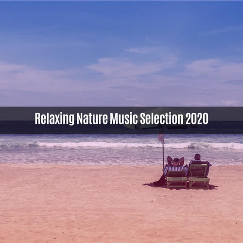 Relaxing Nature Music Selection 2020