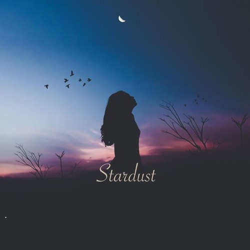 Stardust