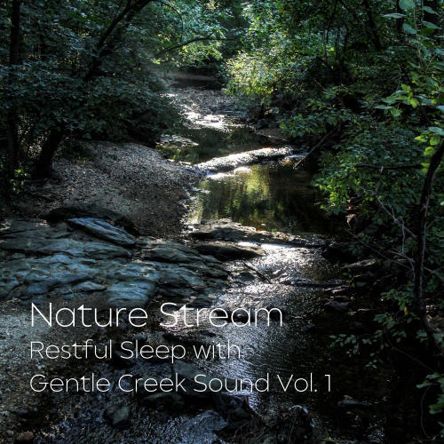 Nature Stream: Restful Sleep with Gentle Creek Sound Vol. 1