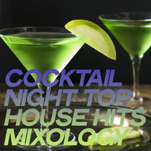 Cocktail Night Top House Hits Mixology