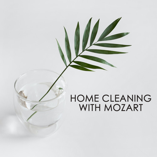 Home cleaning with Mozart