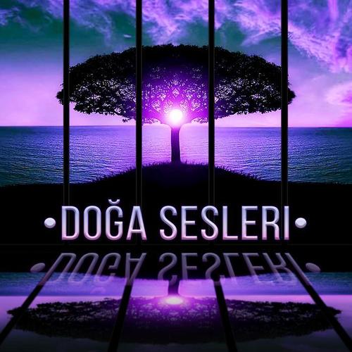 Doğa Sesleri - Masaj Gevşeme, Spa & Wellness, Meditasyon, Reiki, Enstrümantal Müzik Rahatlatıcı, Yoga, Okyanus Dalgaları, Kuşlar, Su Sesi