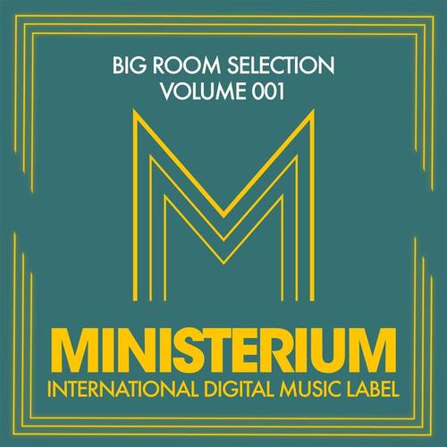 Big Room Selection (Volume 001)