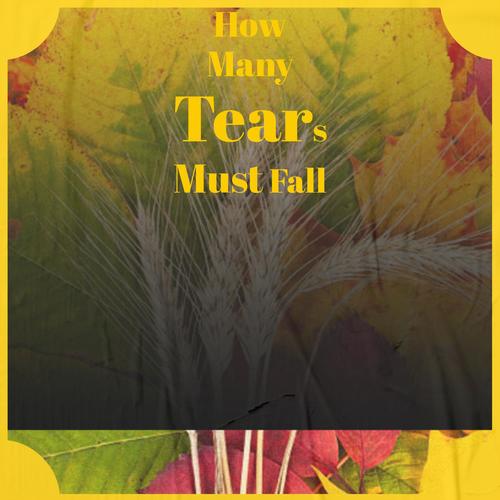 How Many Tears Must Fall
