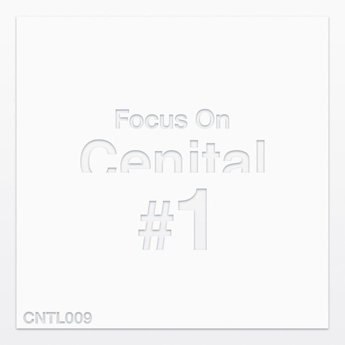 Focus on Cenital, Vol. 1