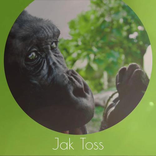 Jak Toss