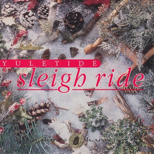 Yuletide Sleigh Ride