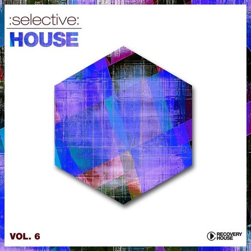 Selective: House, Vol. 6