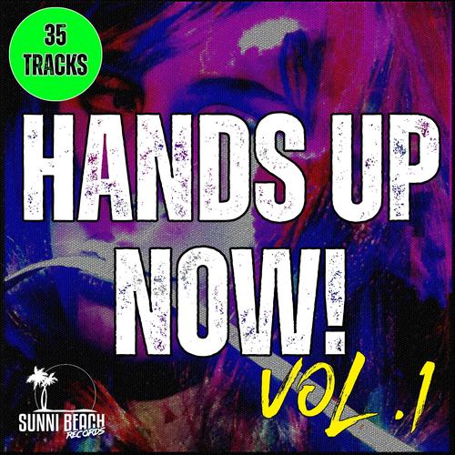 Hands Up Now! Vol. 1 (Explicit)