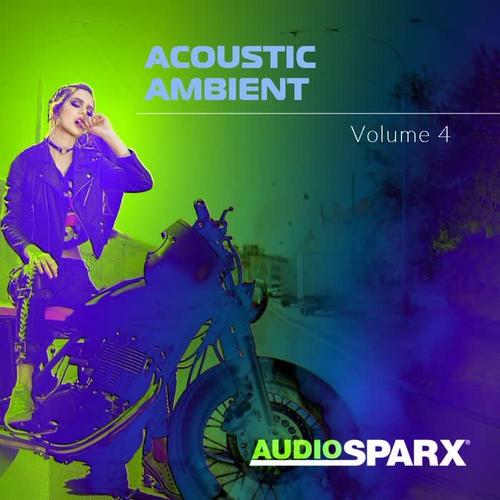 Acoustic Ambient Volume 4