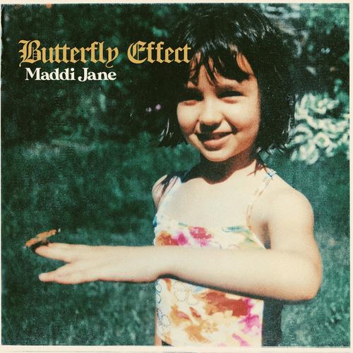 Butterfly Effect
