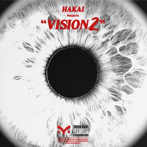 Vision 2 (Explicit)