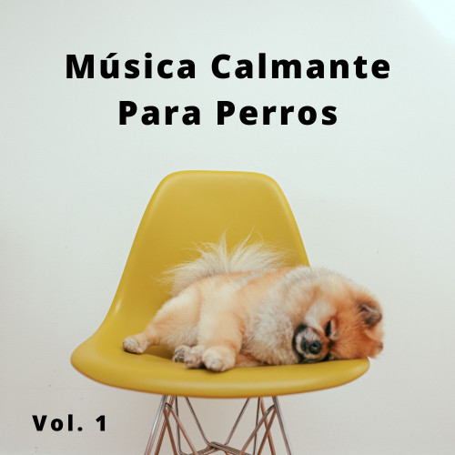 4 Patas, Música Calmante Para Perros Vol. 1