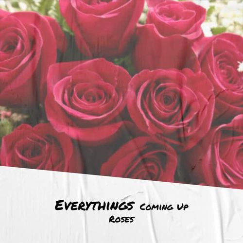 Everythings Coming Up Roses