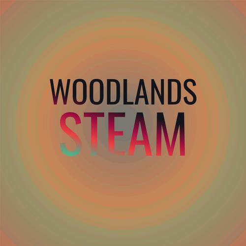 Woodlands Steam