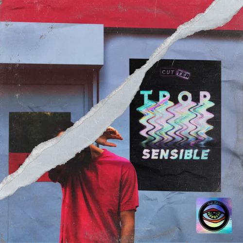 Trop sensible (Remix) [Explicit]